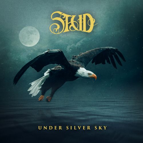 Under Silver Sky album cover